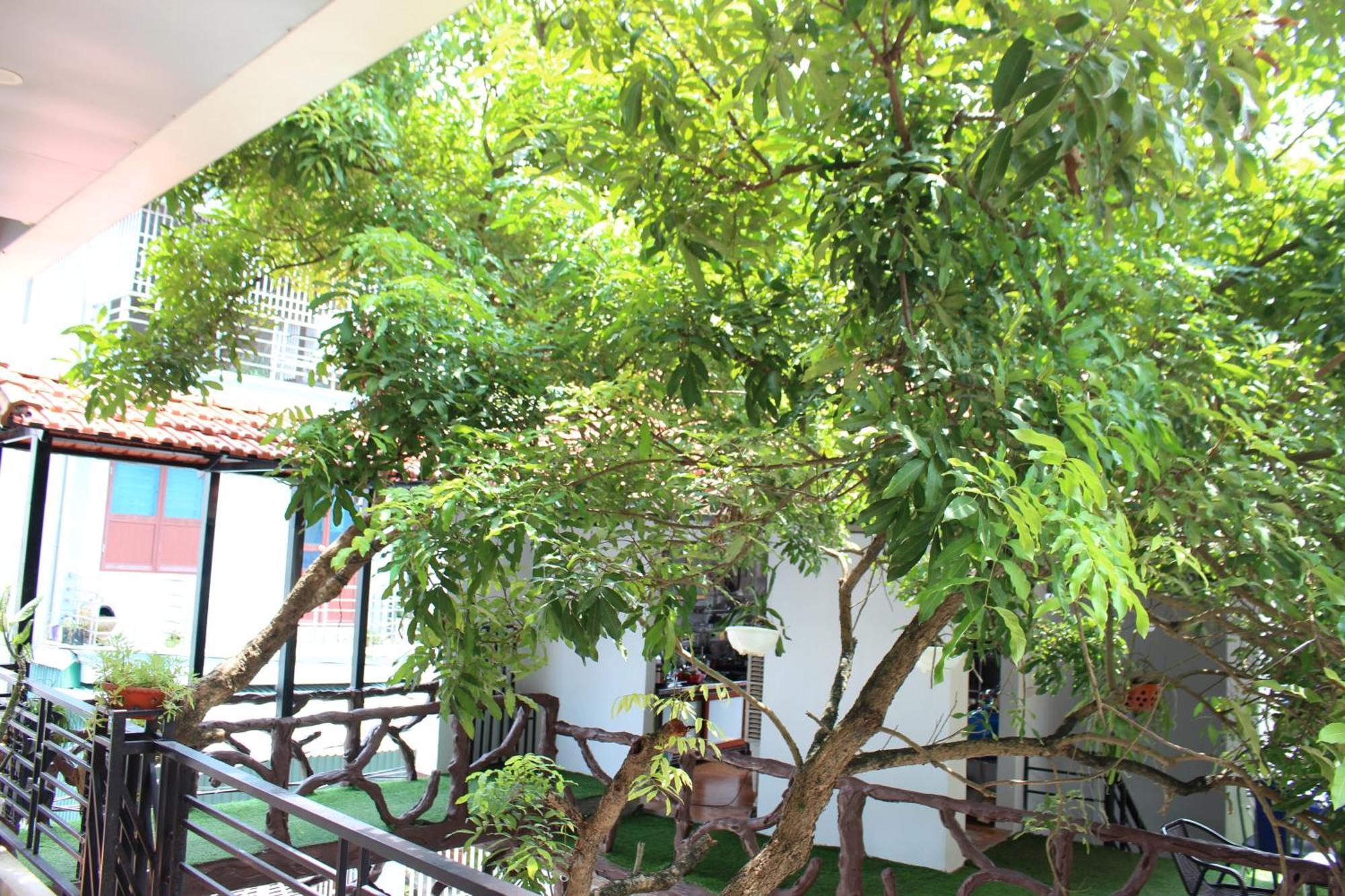 Khai Yen Tam Coc Hostel Ninh Binh Exterior foto